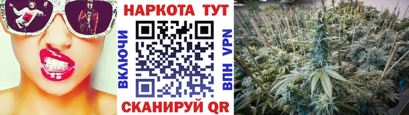 Где купить Нефтеюганск Кокаин Alpha-PVP Псилоцибиновые грибы Гашиш АМФЕТАМИН