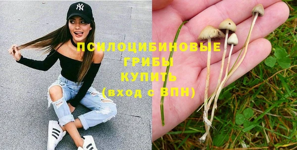 МДПВ Абдулино