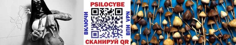 Псилоцибиновые грибы прущие грибы  цена   Нефтеюганск 